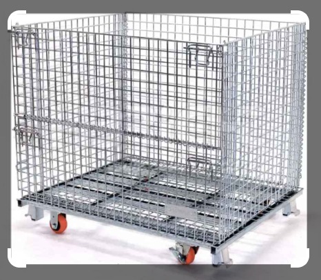 Imagen de WhatsApp 2024-12-19 a las 12.53.24_e59a157e